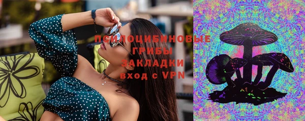 стаф Аркадак