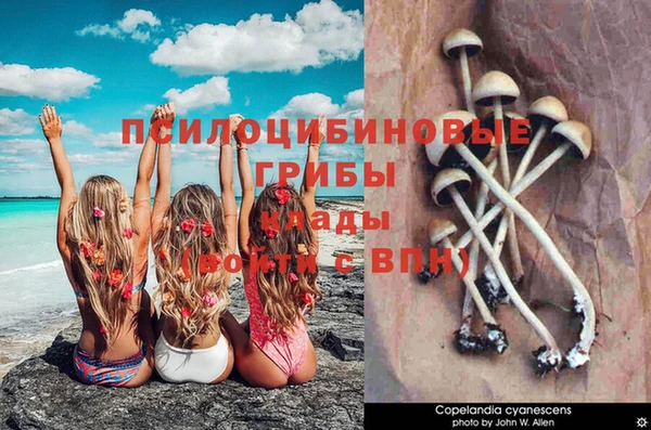 прущие крисы Арсеньев