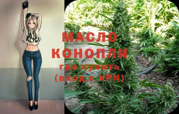 стаф Аркадак