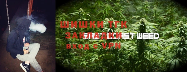 шишки Армянск