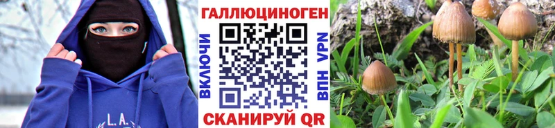 Купить  Валдай  Псилоцибиновые грибы мицелий 