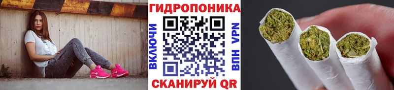 Купить закладки  Валдай  МАРИХУАНА SATIVA & INDICA 